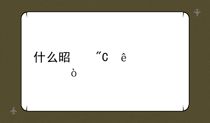 什么是成人自考？