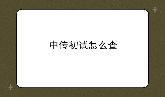 中传初试怎么查