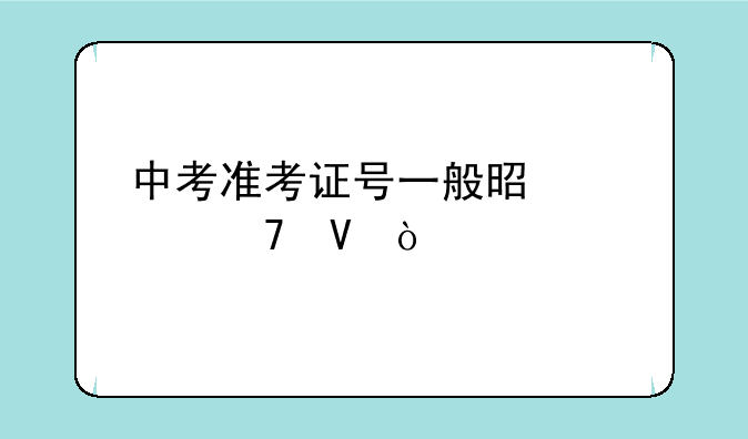 中考准考证号一般是几位数？