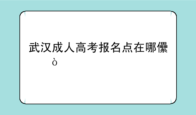 武汉成人高考报名点在哪儿？