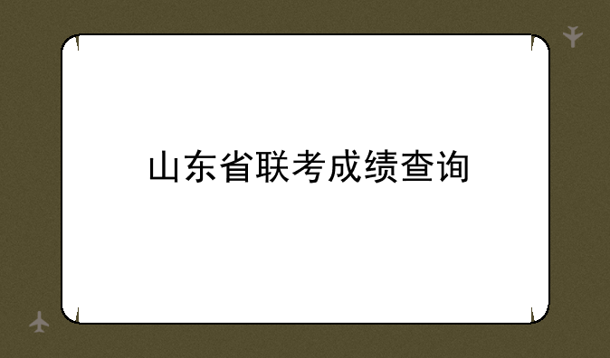 山东省联考成绩查询