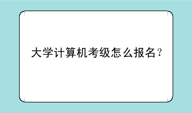 大学计算机考级怎么报名？