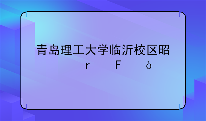 青岛理工大学临沂校区是几本呢？